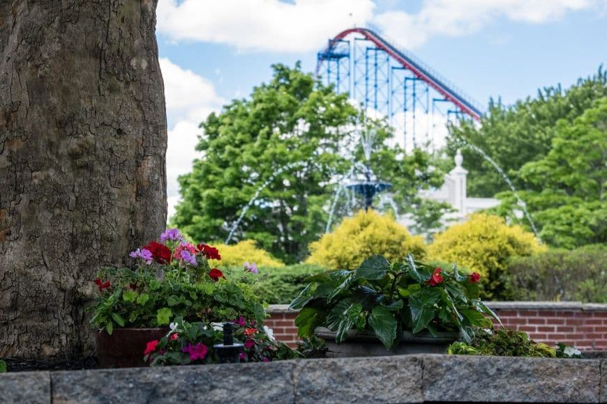 Flowers and Ride of Steel