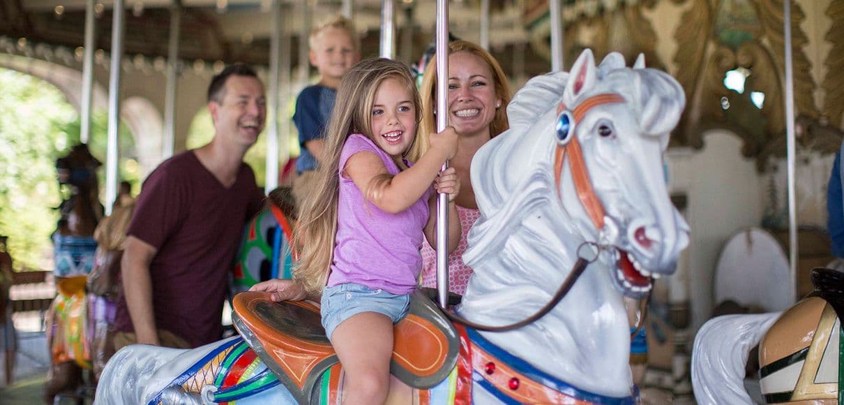 A family at the park with tweety