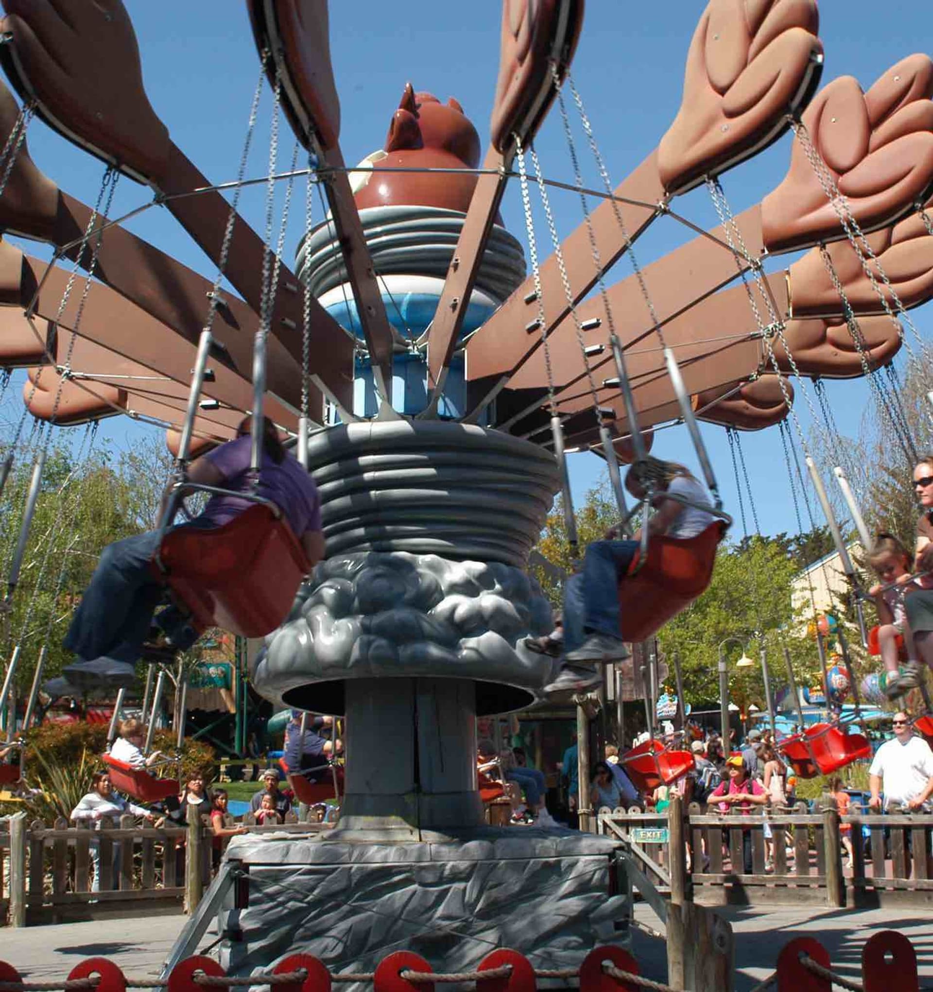 Families enjoying Taz's Typhoon at Six Flags Discovery Kingdom.