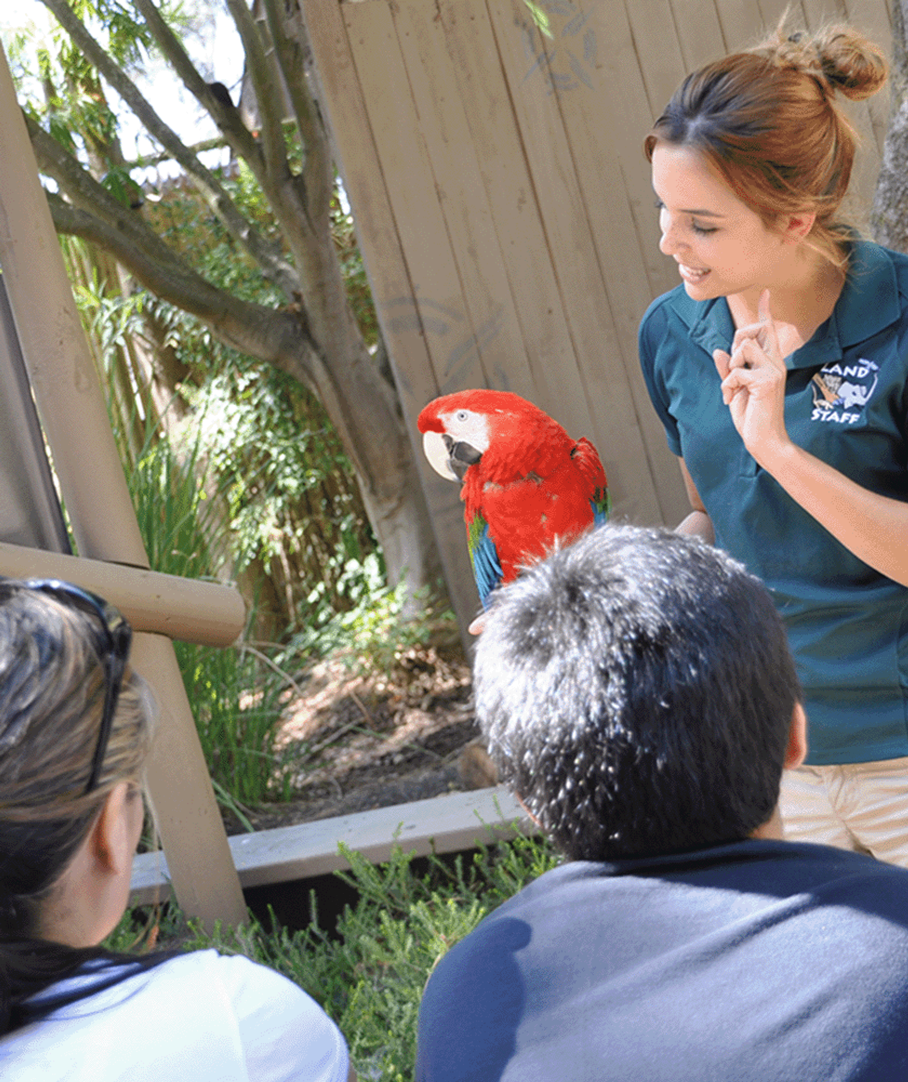 Instructor with parrot and guests viewing