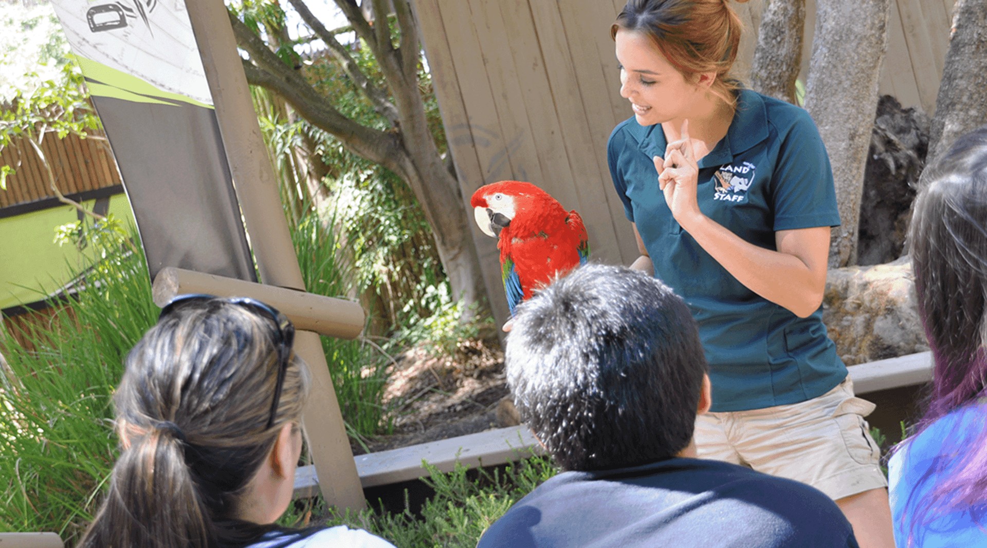 Instructor with parrot and guests viewing