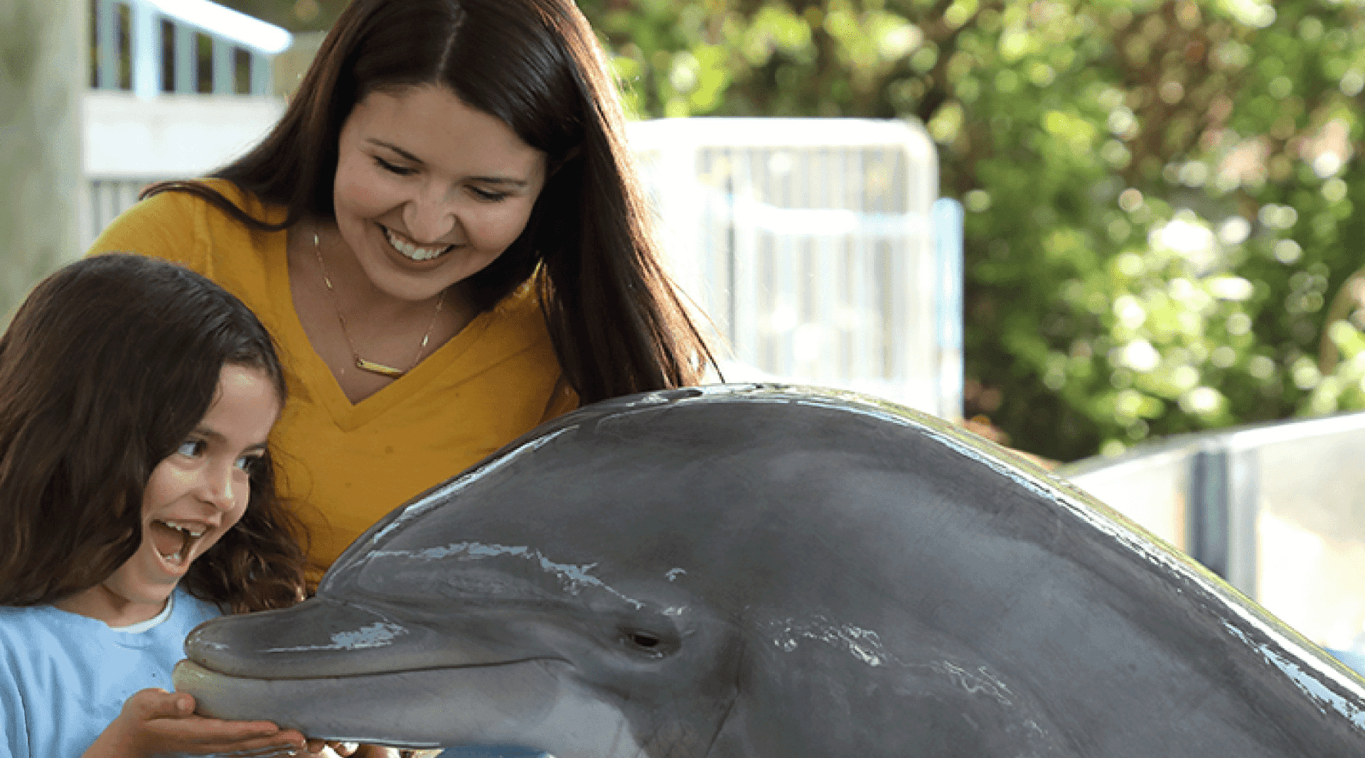 Woman and child up close with a dolphin