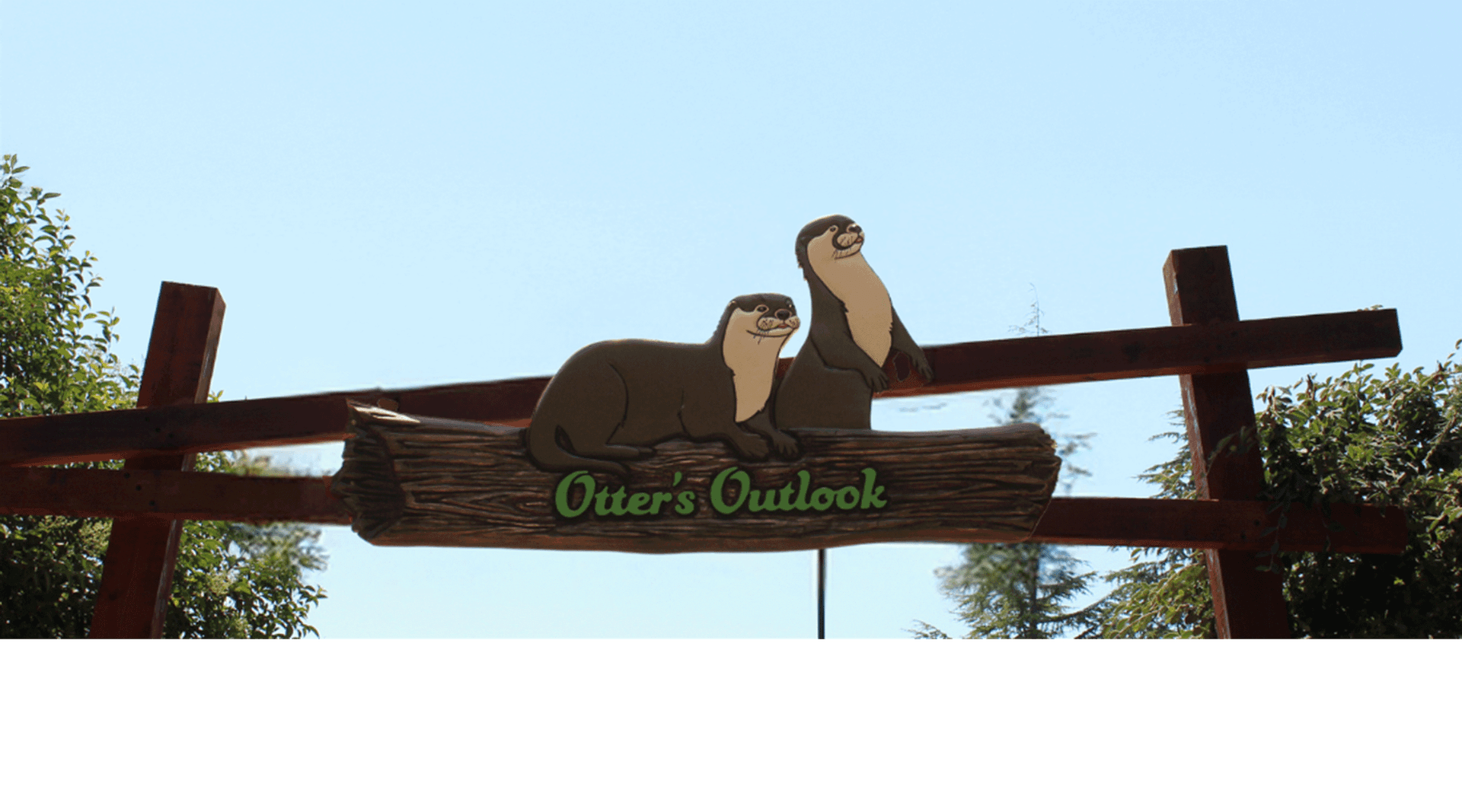 Otter's Outlook